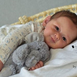 17 인치 높은 시뮬레이션 현실적인 천사 신생아 전체 실리콘 바디 아기 고무 다시 태어난 베베 인형 선물 아기 인형 - Product Image 5