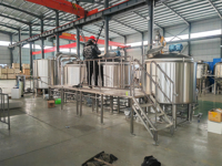 Machines de production de bière commerciales Système de brassage en acier inoxydable Équipement de brassage de bière personnalisé