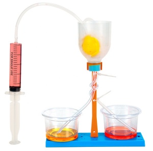 Modèle de nerf rénal en plastique pour petit expérience scientifique DIY, technologie de filtration rénale, pour enfants de 5 à 7 ans et collégiens, urine simulée - Product Image 1