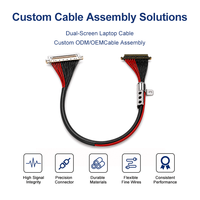 Câble LVDS haute vitesse 100, assemblage de câbles coaxiaux micro 30 broches 40AWG à pas de 0,5 mm, faisceau de câbles 5,4 Gbit/s pour écran LCD d'ordinateur portable, personnalisé