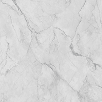 Dalles de sol et de mur en pierre frittée Camou White 1600x3200, épaisseur 12 mm, design moderne, résistantes à l'usure, antidérapantes, pour salle à manger