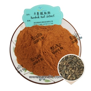 Extrait <span class=keywords><strong>de</strong></span> graines <span class=keywords><strong>de</strong></span> bardane en vrac, poudre d'extrait <span class=keywords><strong>de</strong></span> graines d'Arctium Lappa - Product Image 4