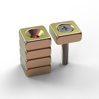 N42 Aimants rectangulaires en néodyme avec blocs cuboïdes plaqués or 18K Matériaux magnétiques industriels avec service de traitement par pliage