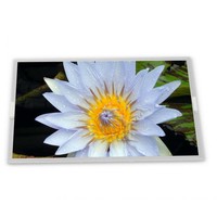 Módulo de Pantalla LCD WLED Compatible de Alta Resolución de 6.5 Pulgadas, 1024*768 ODM NL10276BC13-01C