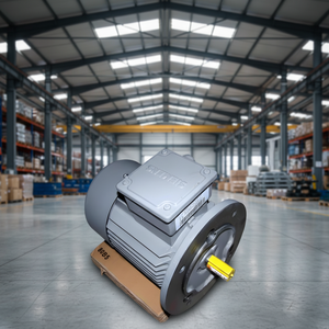 Moteur Innomotics 25 18.5kw B3 B5 22KW 37KW 45KW 55KW 75KW 90KW 117KW 480V 60HZ Moteur asynchrone triphasé - Product Image 3