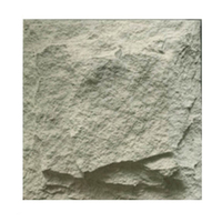 Panneau mural en pierre artificielle léger et isolant moderne 2024, pierre champignon 3D 600x600mm, ignifuge, imperméable, écologique
