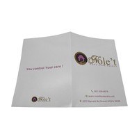 Carpeta de Presentación de Papel para Portafolio de Artista, con Logotipo Personalizado Elegante y Colorido, Impresión UV, para Promoción Empresarial, con Bolsillos y Galerías