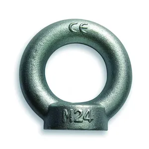 Electric Galvanized Carbon Steel Drop Forged Lifting Din582 Eye Nut