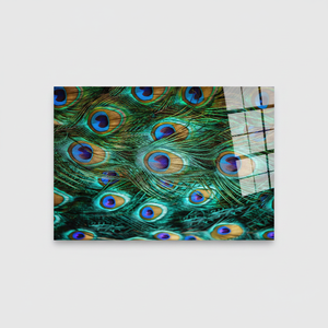 Vibrant Peacock Feather Glass <b>Wall</b> Art: Elegant Printed <b>Canvas</b>,TEMPERED GLASS ART - Product Image 2