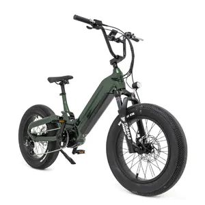 2024 Mario Ebike 500W Mid Drive Motor Bafang M600 20inch Fat Tire Electric City Bike Urban Step Through Electric Bicycle