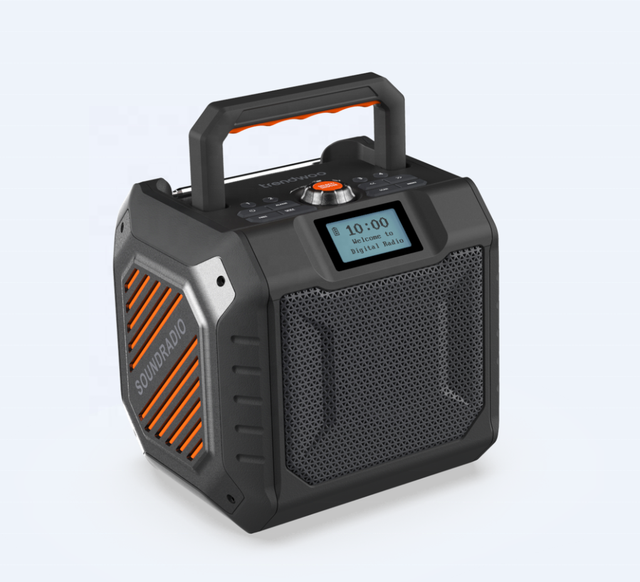 Trendwoo OEM New Portable Outdoor 5.3 FM DAB Radio Bluetooth Speaker with Power Bank, TF Card