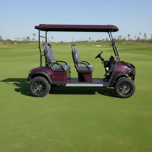 Voiturette de <span class=keywords><strong>golf</strong></span> électrique <span class=keywords><strong>6</strong></span> places certifiée CE, nouveau design, caractéristiques premium, performances exceptionnelles, quatre roues, pour visites touristiques et balades panoramiques - Product Image 5