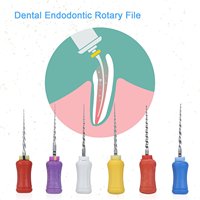 Fichiers rotatifs endodontiques NiTi à usage manuel pour canal dentaire 19/21/25/31mm # SX- # F3