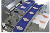 Machine automatique de trancheuse de poitrine de poulet pour le tranchage de viande FQJ500-II