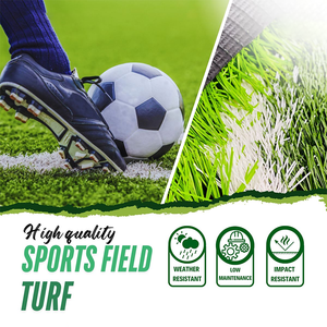 Semillas de Césped Natural de la Mejor Calidad y Durabilidad <span class=keywords><strong>para</strong></span> Canchas de Fútbol, Césped Artificial Sintético Fácil de Instalar - Product Image 6