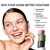 Masque Facial en Stick Hydratant et Éclaircissant au Probiotique, à l'Argile Blanche et au PDRN de Volcan d'Alaska à l'Armoise, Resserre les Pores, Soin de la Peau 40g