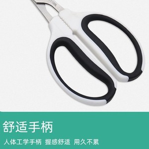 Jolies cisailles de taille à pointe droite en acier inoxydable, lame de 55 mm, pour la récolte des fruits et légumes et la taille des vignobles - Product Image 5