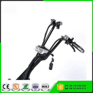 Scooter Eléctrico City Coco con Batería de Litio de 1000W 60V 12Ah, Scooter Eléctrico Citycoco - Product Image 4