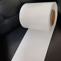 Fabricant de Bande Transporteuse en PP pour le Transport du Fumier