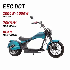 EEC COC Citycoco 3000W 4000W 45Km/h 75Km/h Electric Chopper Fat Tire E Scooter Motorcycle Factory Price