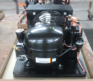 NEK6212Z Nhỏ Embraco Kín Máy Nén Mini Làm Mát Bằng Không Khí Tủ Đông Đơn Vị Làm Lạnh Ngưng Tụ Đơn Vị - Product Image 6