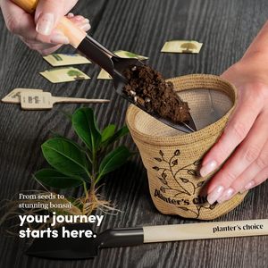 Planter's Choice Kit de démarrage d'arbre à bonsaï d'intérieur unique Source d'alimentation manuelle pour adultes bricolage artisanat passe-temps cadeau pour les amateurs de jardinage - Product Image 2