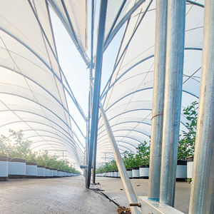 <span class=keywords><strong>Invernadero</strong></span> de túnel alto tipo oruga de bajo costo, solución económica perfecta para el cultivo de bayas pequeñas y medianas - Product Image 2