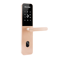 Serrure de porte intelligente pour chambre d'hôtel Tuya ZigBee, acier durable, télécommande électronique via Wifi, déverrouillage par clé