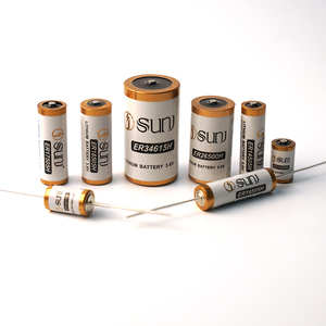 A spirale <span class=keywords><strong>tipo</strong></span> 3.6V 2700mAh <span class=keywords><strong>AA</strong></span> Size Er14505 <span class=keywords><strong>batterie</strong></span> al litio primarie Non ricaricabili per il controllo remoto di elettronica di consumo - Product Image 6