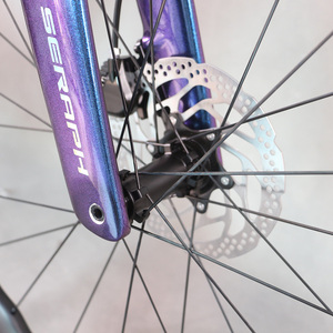 จักรยาน <span class=keywords><strong>Tantan</strong></span> Complete Bike Cycling Disc Wheeltop Eds-2*12 Groupset โครงคาร์บอน Frameset ล้อ Road Wave รุ่น Tt-x71 Tt-x71 ครบชุด - Product Image 5