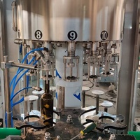 Machine de remplissage automatique de bouteilles en verre PET de 750 ml pour la vodka, ligne de mise en bouteille, machine de remplissage à pression négative