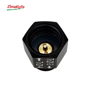 Adaptateur de convertisseur de gaz CO2 en alliage d'aluminium noir pour outils pneumatiques, filetages femelle Tr21-4 et mâle Tr21-3, personnalisable OEM - Product Image 3