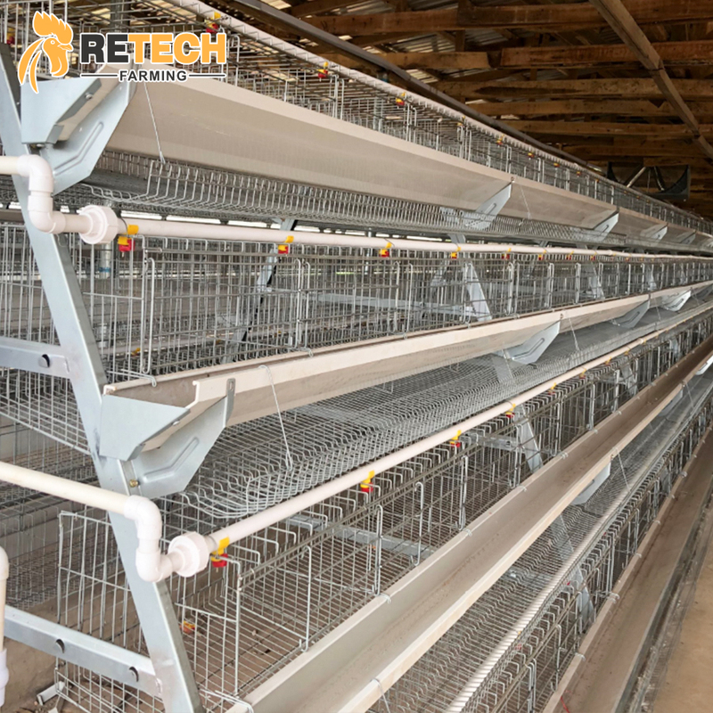 Manual Poultry Farm Laying Hens Equipment