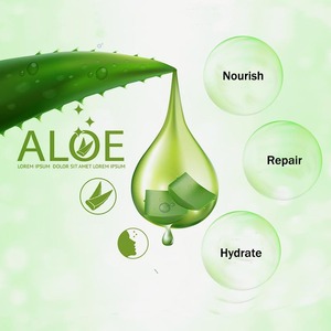 Loción Corporal Hidratante Blanqueadora, Loción Corporal Calmante, Gel Orgánico de Aloe Vera para Reparación Corporal, Logotipo Personalizado - Product Image 3