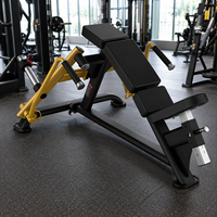 Máquina de Ejercicios SK Incline Pec Fly Premium con Placas de Peso para Entrenamiento de Pecho, Ideal para Gimnasios Comerciales y Centros de Fitness