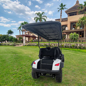 Carritos de Golf para 4 Personas: Duraderos, de Bajo Mantenimiento, Aptos para Áreas Residenciales de Golf, Carrito de Golf para Caminos No Públicos - Product Image 2
