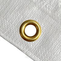 Bâche en polyéthylène (PE) renforcée en grille, imperméable, 110 GSM, pour bassin