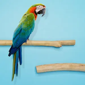 MIDEPET Großhandel 2 teile/satz Vogels pielzeug Training Holz Papagei Stand Barsch für Sittiche Conures Love birds oder Nymphen sittiche