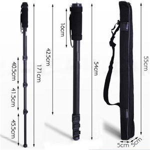 Monopode de voyage professionnel portable WT1003 pour appareil photo reflex numérique, monopode vidéo 170 cm avec vis <span class=keywords><strong>1</strong></span>/4 pour Canon <span class=keywords><strong>Nikon</strong></span> Sony DV Téléphone - Product Image 3