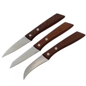 Set di 3 Coltelli da Intaglio in Acciaio Inox con Lame Diversificate per Bistecca, Verdure, Frutta, Manico in Legno per Arti Culinare - Product Image 5