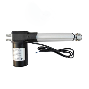 Actuador Lineal de Precisión Personalizado de 24V/12V: con Retroalimentación de Posición/Sensor de Posición, Solución de Grado Industrial/Automatización del Hogar - Product Image 1