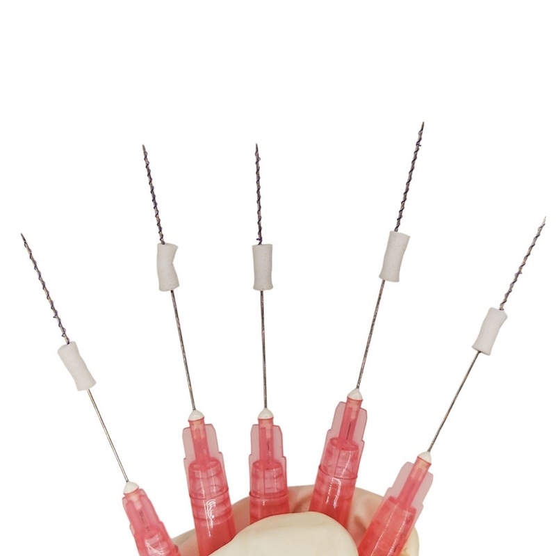 Double Needle Pdo Cog Thread Lift