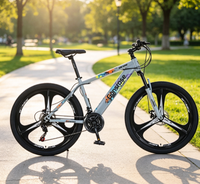 Vélo de montagne tout-terrain de 26 pouces pour adultes, frein à disque, acier à haute teneur en carbone, vélo de montagne MTB, vente en gros, export
