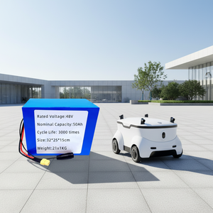 Batterie LiFePO4 48V 50Ah de Likeminded avec 1200 cycles et température de fonctionnement de 0 à 25°C pour une intégration transparente des véhicules électriques - Product Image 5