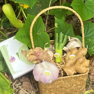 Juego de Velas Aromáticas Novedosas LANJO con Forma de Ajo, Jengibre y Puerro, Caja de Regalo de Velas de Aromaterapia, Decoración para el Hogar - Product Image 1
