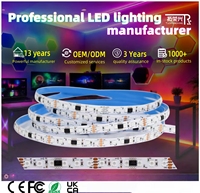Bande LED RVB adressable TM1934 12V, 120 LED/m, 20 pixels/m, programmable, couleurs de rêve, éclairage extérieur à pixels pour éclairage extérieur