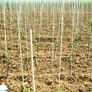 Flexible Solid Fiberglass Pole <b>for</b> Greenhouse - Product Image 4