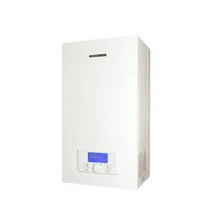 35KW Bithermal Heating and Hot Water Wall Hung Gas Boiler