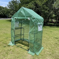 Serre tunnel PE moderne et écologique, facile à assembler, avec structure métallique en tubes d'acier de 16 mm pour la plantation dans le jardin