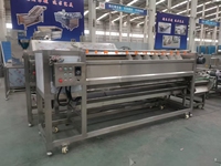 Fruit- en groentewasmachine voor cassave en wortelreiniging 220/380V Eenvoudig te bedienen aardappelwasser en -schiller